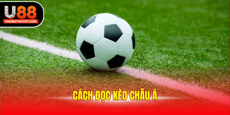 Cách Đọc Kèo Châu Á Cơ Bản Cần Phải Nắm Trong Cá Cược