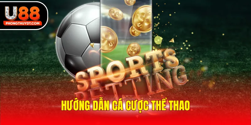 Hướng Dẫn Cá Cược Thể Thao Chuẩn Chỉnh Cho Newbie