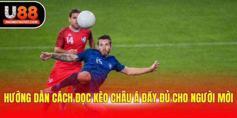 Hướng dẫn cách đọc kèo châu Á đầy đủ cho người mới