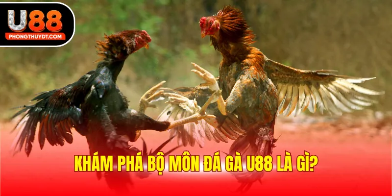 Khám phá bộ môn đá gà U88 là gì?