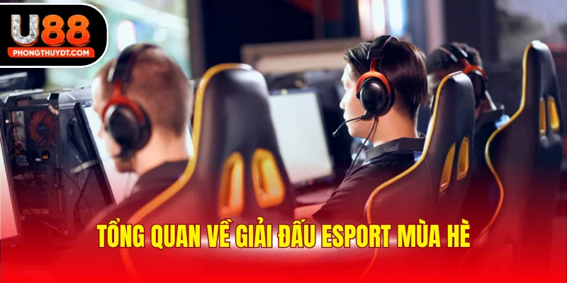 Tổng quan về giải đấu Esport mùa hè